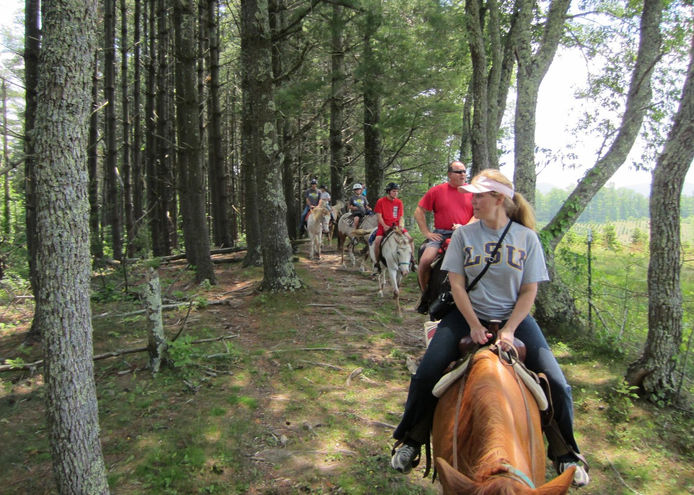 Guided Horseback Ride through Flame Azalea and Fern Forest